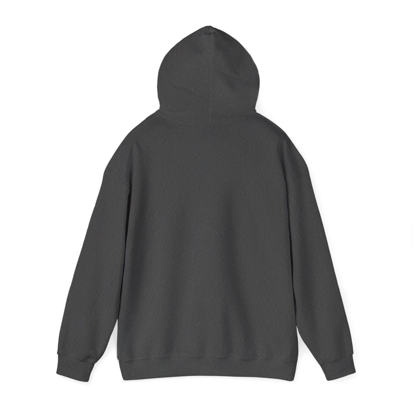 Classic "N" Logo | Hoodie